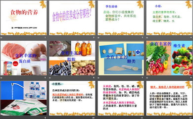 日常餐桌的營(yíng)養(yǎng)密碼——認(rèn)識(shí)我們身邊的營(yíng)養(yǎng)食品